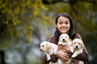 Girl with puppies